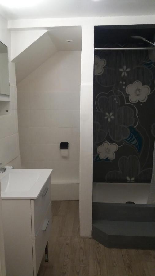 Appartement Meuble Type T2 Metz Exterior foto